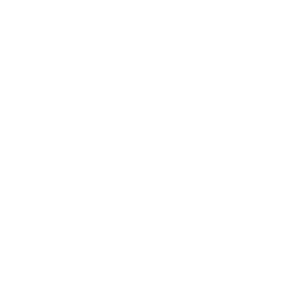 Icon Kreis mit 2 Blättern